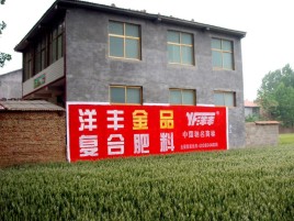 舟山如何让墙体广告展现最大化效果