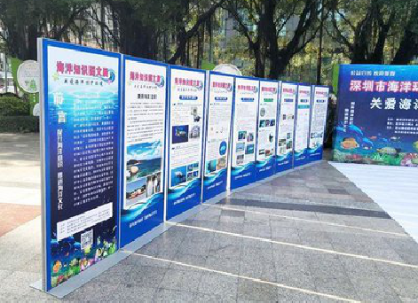 舟山KT板的种类和知识。